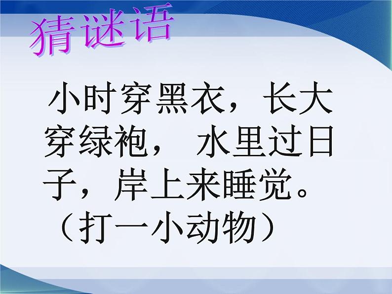 一年级下册科学（2017版）课件12《动物·人》参考课件第4页