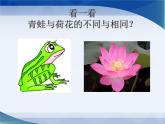 一年級下冊科學（2017版）課件12《動物·人》參考課件