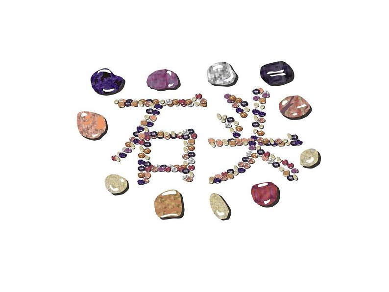 苏教版科学一年级下册第1课石头ppt课件01