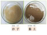 蘇教版科學(xué)一年級(jí)下冊(cè)第3課沙子與黏土ppt課件