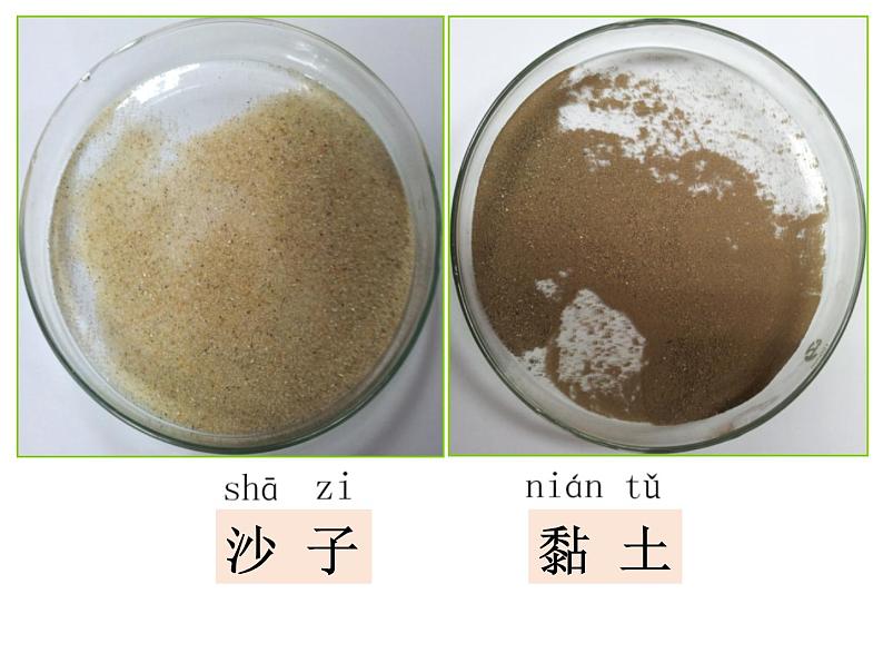 苏教版科学一年级下册第3课沙子与黏土ppt课件第2页