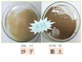蘇教版科學(xué)一年級(jí)下冊(cè)第3課沙子與黏土ppt課件