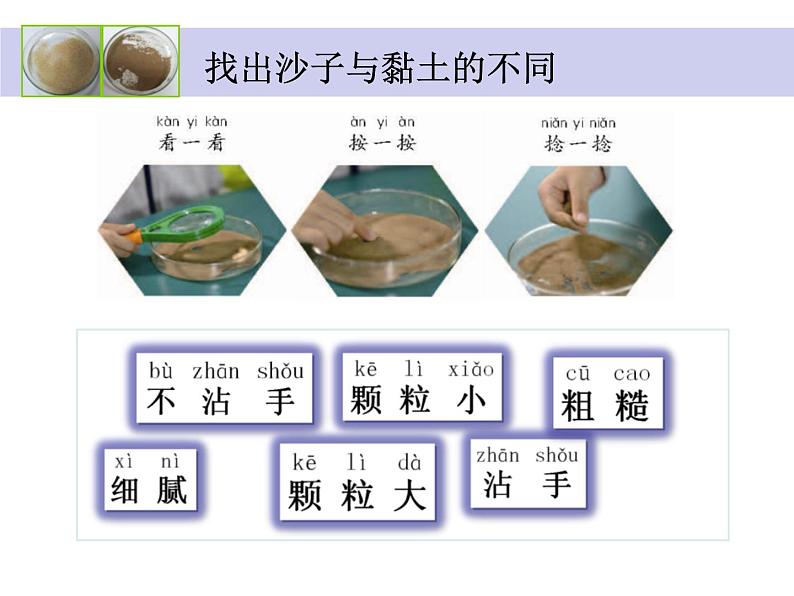 苏教版科学一年级下册第3课沙子与黏土ppt课件第8页