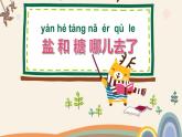 蘇教版科學一年級下冊第6課鹽和糖哪兒去了課件