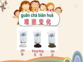 蘇教版科學一年級下冊第6課鹽和糖哪兒去了課件