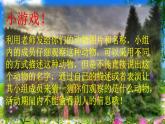 苏教版科学一年级下册第10课形形色色的动物课件