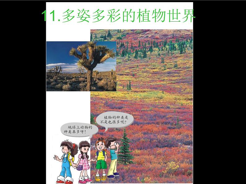 苏教版科学一年级下册第11课多姿多彩的植物ppt参考课件第2页