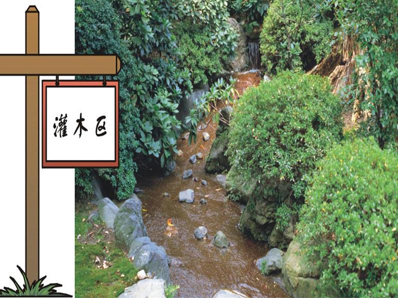 苏教版科学一年级下册第11课多姿多彩的植物ppt参考课件第5页