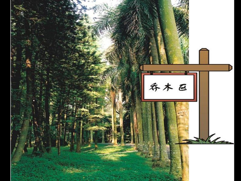 苏教版科学一年级下册第11课多姿多彩的植物ppt参考课件第6页