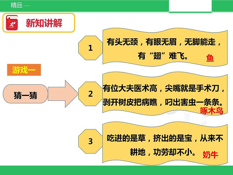 《形形色色的动物》课件第4页