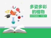 苏教版小学科学一年级下册11：多姿多彩的植物（精品课件+教案）