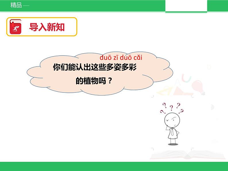 苏教版小学科学一年级下册11：多姿多彩的植物（精品课件+教案）02