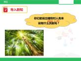 苏教版小学科学一年级下册11：多姿多彩的植物（精品课件+教案）