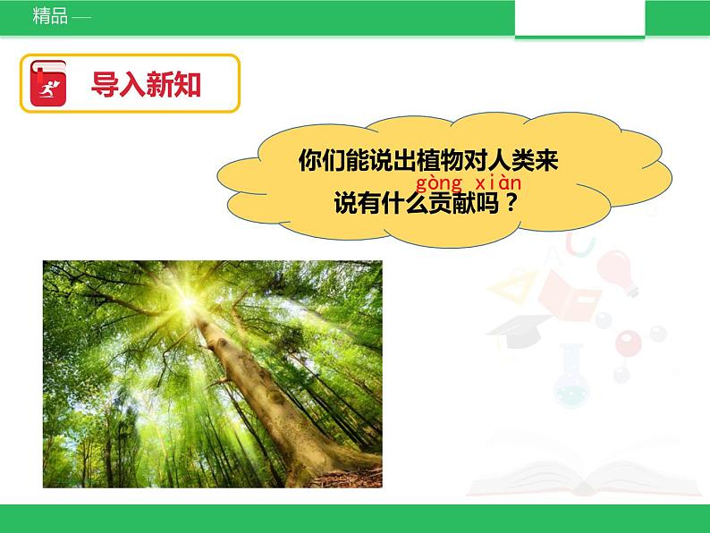 苏教版小学科学一年级下册11：多姿多彩的植物（精品课件+教案）04