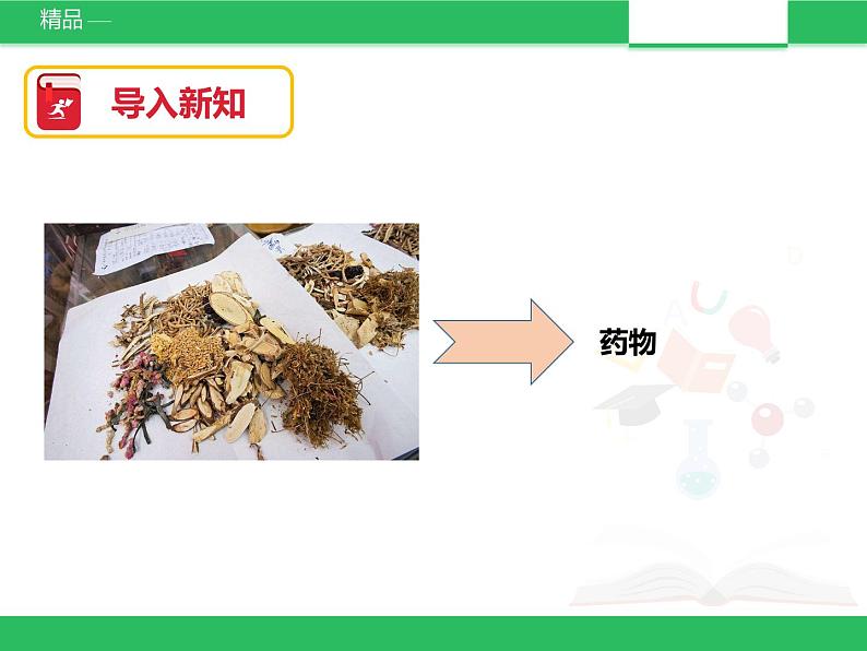 苏教版小学科学一年级下册11：多姿多彩的植物（精品课件+教案）07