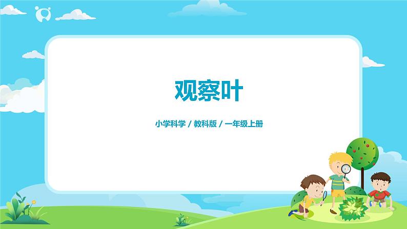 1.1.3《观察叶》课件第1页