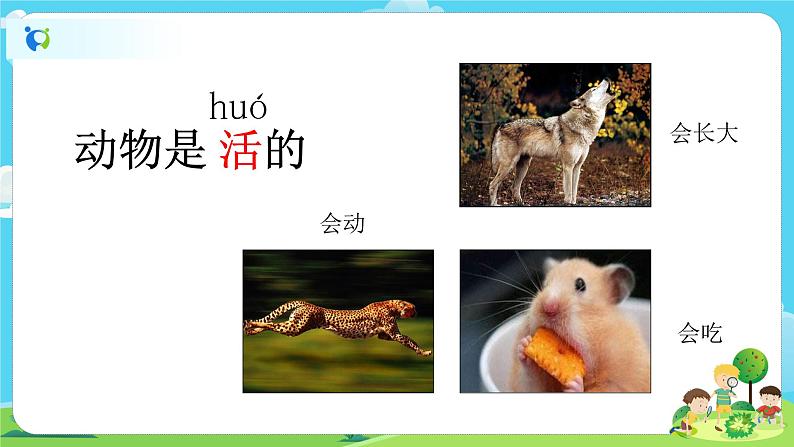1.1.5《植物是活的吗》 课件第2页