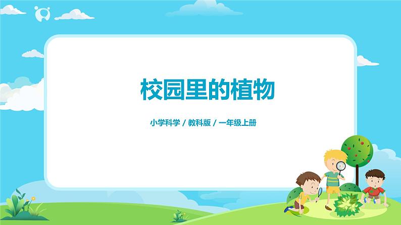 1.1.6《校园里的植物》课件+教案01