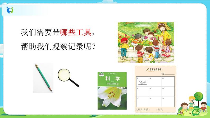 1.1.6《校园里的植物》课件+教案04