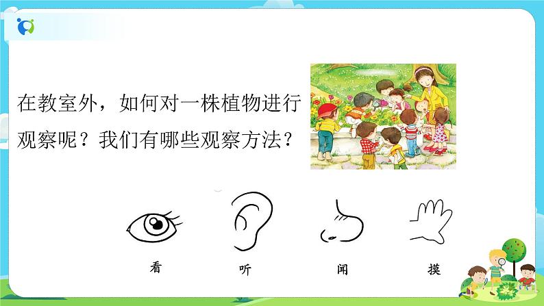 1.1.6《校园里的植物》课件+教案05