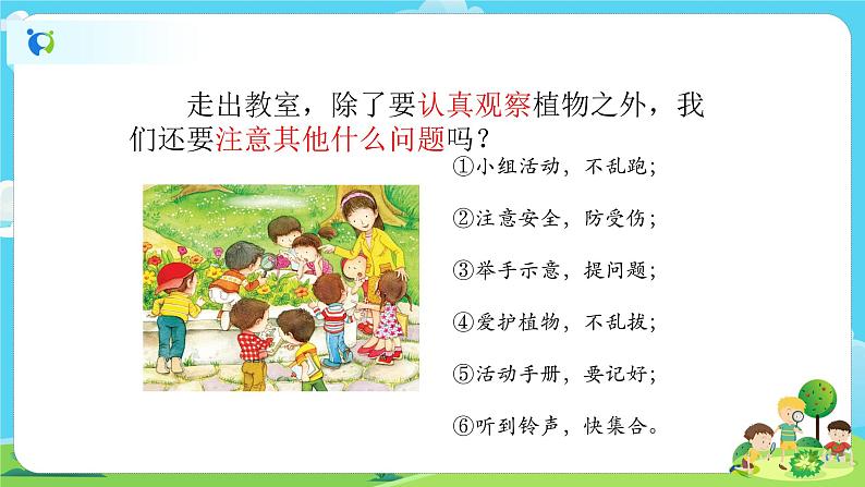 1.1.6《校园里的植物》课件+教案06