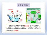 小學(xué)科學(xué)蘇教版六年級(jí)下冊(cè)第二單元第7課《做個(gè)生態(tài)瓶》課件3（2022新版）