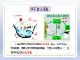 小学科学苏教版六年级下册第二单元第7课《做个生态瓶》课件3（2022新版）
