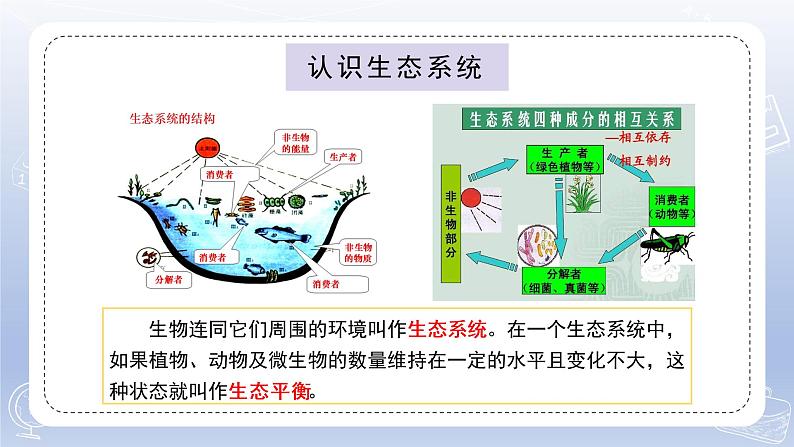 小学科学苏教版六年级下册第二单元第7课《做个生态瓶》课件3（2022新版）第2页