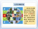 小學科學蘇教版六年級下冊第二單元第5課《多樣的棲息地》課件3（2022新版）