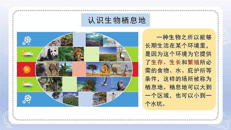 小学科学苏教版六年级下册第二单元第5课《多样的栖息地》课件3（2022新版）02