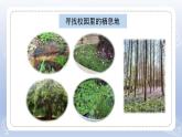 小學科學蘇教版六年級下冊第二單元第5課《多樣的棲息地》課件3（2022新版）