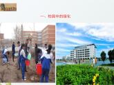 2.3《调查小组在行动》课件 大象版小学科学六下1