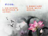 3.3《做好侦破准备》课件 大象版小学科学六下1