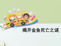 小学科学大象版六年级下册第三单元 养好小金鱼3.4 揭开金鱼死亡之谜图片课件ppt