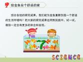 3.5《给金鱼安个舒适的家》课件 大象版小学科学六下1