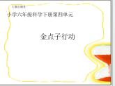 4.4《金点子行动》课件 大象版小学科学六下1