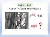 小學(xué)科學(xué)蘇教版五年級(jí)下冊(cè)第二單元第8課《我們來(lái)仿生》課件3（2022新版）