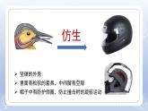 小學(xué)科學(xué)蘇教版五年級(jí)下冊(cè)第二單元第8課《我們來(lái)仿生》課件3（2022新版）