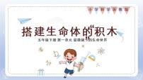 2020-2021学年1 搭建生命体的“积木”评课ppt课件