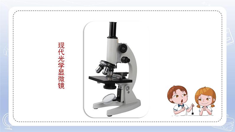 小学科学苏教版五年级下册第一单元第1课《搭建生命体的“积木”》课件3（2022新版）06