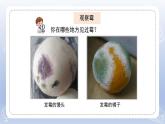 小學科學蘇教版五年級下冊第一單元第3課《發(fā)霉與防霉》課件3（2022新版）
