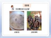 小學科學蘇教版五年級下冊第一單元第3課《發(fā)霉與防霉》課件3（2022新版）
