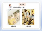 小學科學蘇教版五年級下冊第一單元第3課《發(fā)霉與防霉》課件3（2022新版）