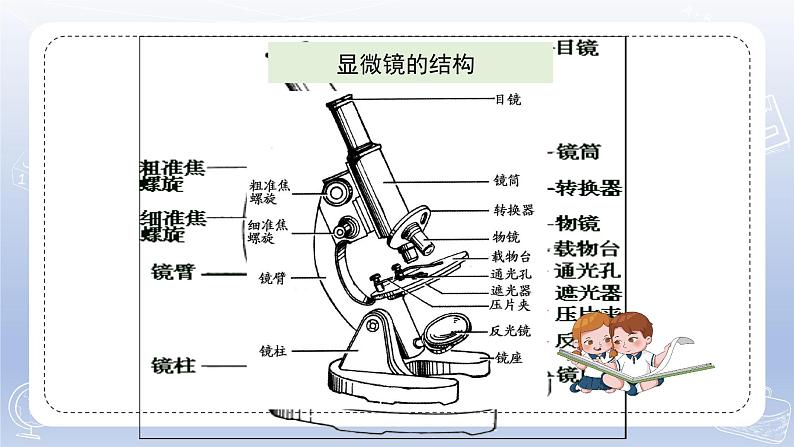 小学科学苏教版五年级下册第一单元第2课《微小的生命体》课件3（2022新版）第5页
