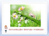 小學(xué)科學(xué)蘇教版四年級(jí)下冊(cè)第一單元第4課《水遇冷以后》課件6（2022新版）
