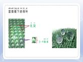 小学科学苏教版二年级下册第一单元第3课《神奇的新材料》课件8（2022新版）