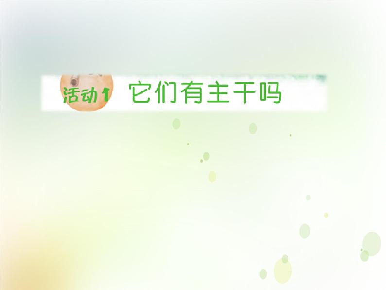 第2课《月季和茉莉》教学课件 粤教版小学科学四下03