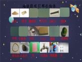 教科版义务教育版小学科学二年级下册  1.磁铁能吸引什么   课件