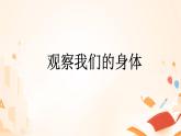教科版义务教育版小学科学二年级下册   1.观察我们的身体    课件