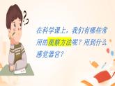 教科版义务教育版小学科学二年级下册   1.观察我们的身体    课件